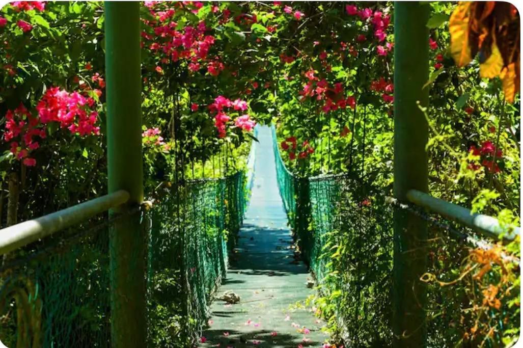Sunshine Sanctuary Boutique Jungle Lodge 蒙特苏马 外观 照片
