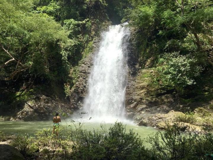Sunshine Sanctuary Boutique Jungle Lodge 蒙特苏马 外观 照片