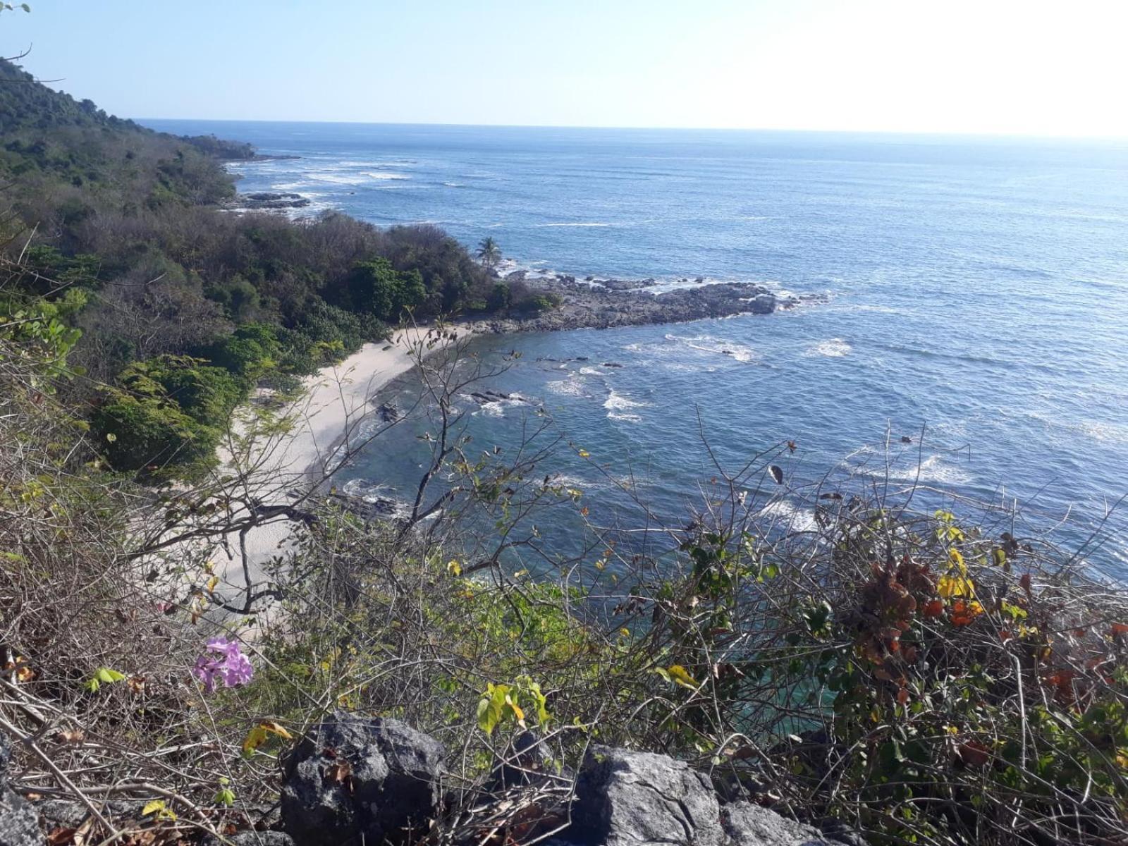 Sunshine Sanctuary Boutique Jungle Lodge 蒙特苏马 外观 照片