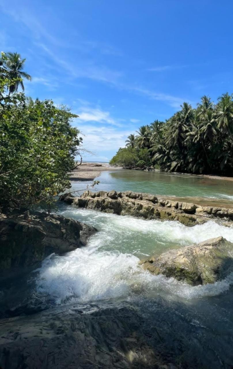 Sunshine Sanctuary Boutique Jungle Lodge 蒙特苏马 外观 照片